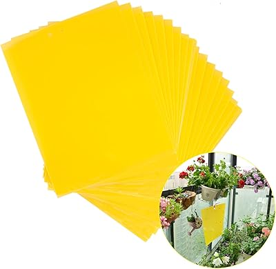 Pièges collants dayong, paquet de 20 panneaux adhésifs double face contre les insectes