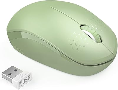 Souris sans fil senda, souris silencieuse 2,4 g avec récepteur usb, souris portable