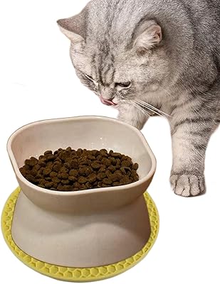 Bols de nourriture pour chats, bol d'eau incliné surélevé, protection de la colonne