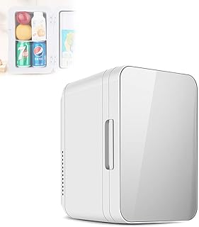 - réfrigérateur compact de 8 l refroidisseur et réchauffeur thermoélectriques