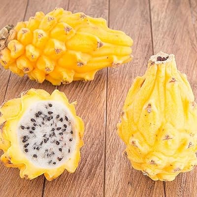 200 morceaux de graines rares de pitaya à peau jaune, fruit du dragon.
