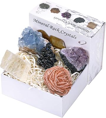 Gestion de l'expérience client l'excellence organisationnelle coffret cadeau en cristal
