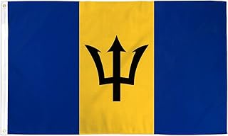 Drapeau de la barbade 5 pieds x 3 pieds grand - 100 %