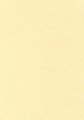 Papier de présentation électronique decadry everyday 95 g/m2 a4 champagne réf dppcl1601