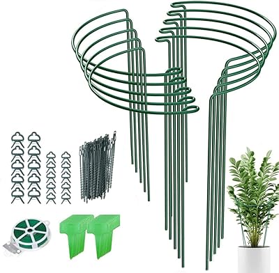 Goodrun 10 pièces piquets de support pour plantes, pinces demi-rondes en métal
