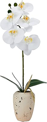 Fleur d'orchidée artificielle mikasa en pot orchidée phalaenopsis au toucher réel de ́coration