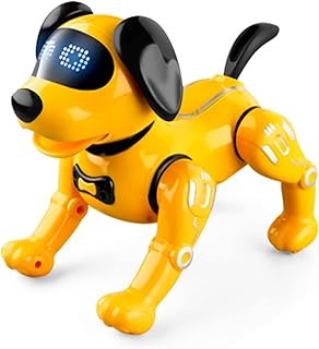 Robot télécommandé haimao r19, jouet électronique programmable pour chiens et animaux de compagnie