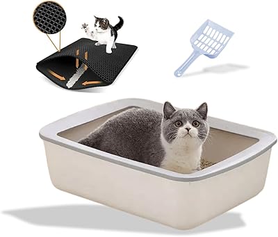 Bac à litière pour chat avec tapis de litière boîte ouverte et amovible