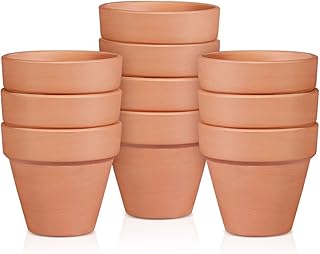 Petits pots en céramique en terre cuite jarno - 10 pièces