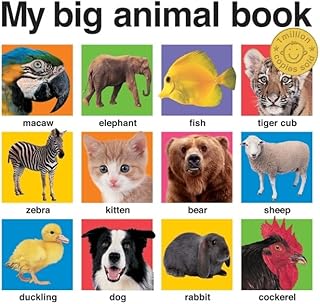 Mon grand livre sur les animaux