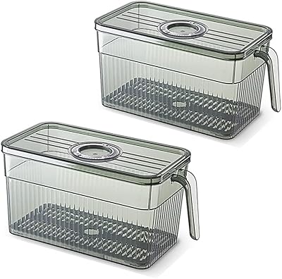 Boîte de conservation pour congélateur domestique vizozi food-safe pour conserver les fruits