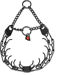 Collier de dressage pour chien herme springer en acier inoxydable noir avec griffes