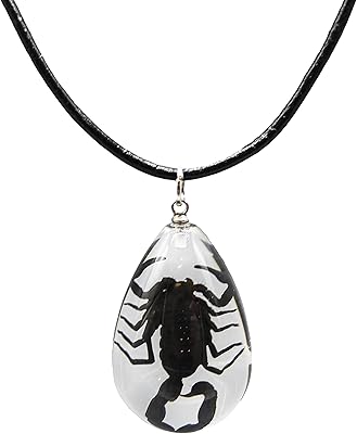 Collier fablinks véritable scorpion 20 pouces pour hommes ; collier original d'insectes