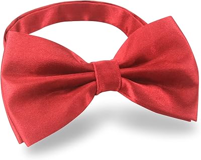 Cravate classique pour hommes, cravate formelle pré-nouée, longueur réglable (rouge), rouge