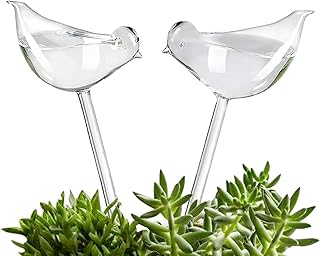 Kastwave plante d'eau en verre transparent soufflé à la main pour intérieur, transparent