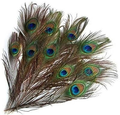 10 pièces de vraies plumes d'oeil de paon naturelles, plumes de queue
