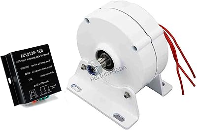Générateur à aimant permanent sans engrenage 12 000 w, 12 v 24 v