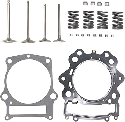 Ensemble de soupape d'échappement d'admission de cylindre carbpro pour yamaha raptor 700 yfm700r