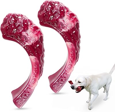 Jouets à mâcher indestructibles pour chien, pour une mastication agressive, véritable saveur