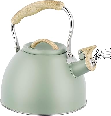 Bouilloire à sifflet, bouilloire à induction de 3 l, bouilloire à thé