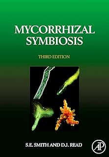 Symbiose mycorhizienne
