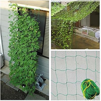 Filet de treillis en nylon durable colebrooks pour support de plantes grimpantes 5,9