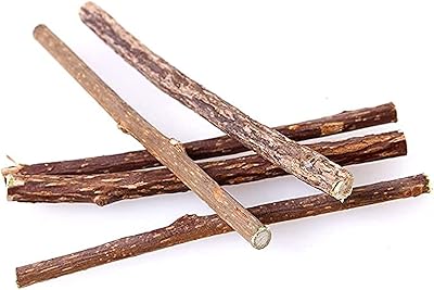 Bâtonnets d'herbe à chat biologique kitty tox - paquet de 5 jouets à