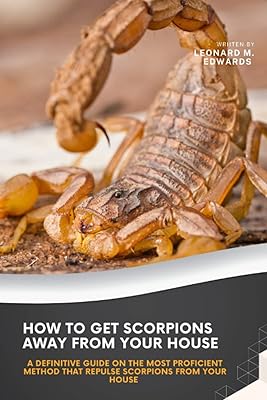 Comment éloigner les scorpions de votre maison : un guide définitif sur la méthode