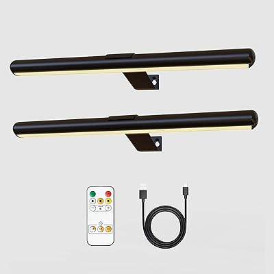 Lampes de dessin sans fil avec télécommande 16 pouces, lampe d'art à batterie