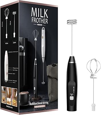 Mousseur à lait portatif double tête mélangeur de boissons électrique avec 3