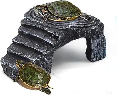 Réservoir intole pour tortues et reptiles aquatiques en forme d'échelle de roche
