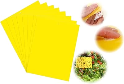 Pièges à mouches collants, autocollants en papier collant jaune delfino, piège à mouches