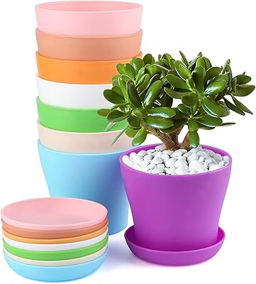 Petits pots de plantes et de fleurs en plastique coloré pour l'intérieur, le bureau,
