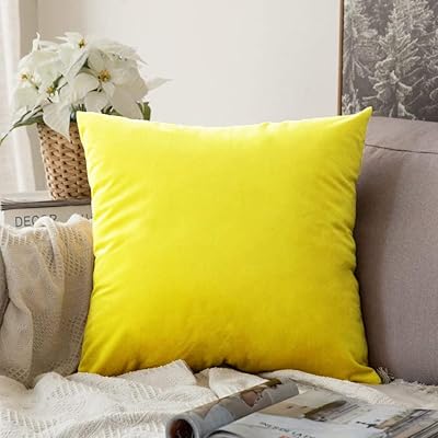 Housse de coussin réversible en velours lavable coty paquet de 1-16 x