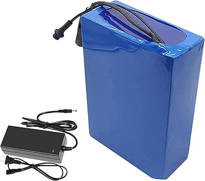 BATTERIE LITHIUM ION 48V 60V 72V 36V 24V 12V AVEC CHARGEUR 8A 10A