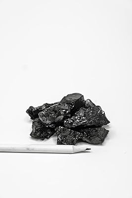 Clubs de pierre de purification d'eau de shungite elite 100 g (0,22 lb)