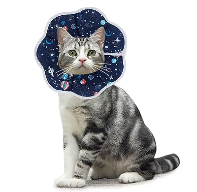 Collier de récupération pour chat, collier conique de protection doux pour animaux