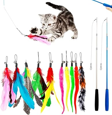 Jouets interactifs pawpawyo pour chat, 12 pièces de plumes pour caresser le chat