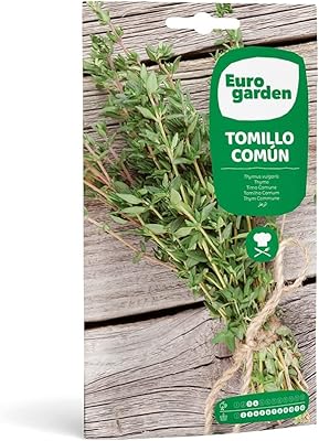 Graines de thym commun euro garden 75 grammes