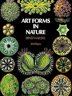Formes artistiques dans la nature