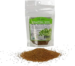 Graines de luzerne biologiques de magasin pratique (4 oz)