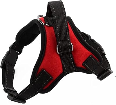 Harnais pour chien moyen pour chien adulte. collier confortable, sangle pectorale réfléchissante, harnais