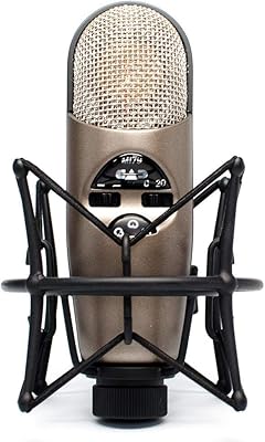 Microphone à condensateur motif variable cad audio m179