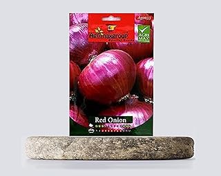 Graines d'oignon rouge (fabriquées en espagne) par agrimaxgroup®