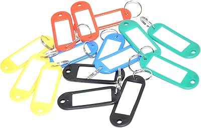 Porte-clés fis 50 pièces par paquet, couleurs assorties, taille 6 x 2,1 cm