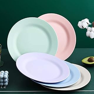 Ensemble de 5 assiettes plates légères de 11 pouces, assiettes en paille