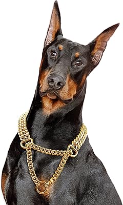 Collier pour chien à chaîne en or 18 carats collier anneau