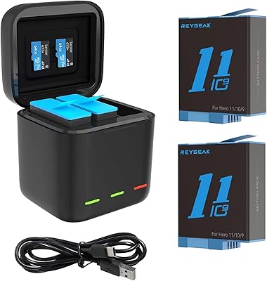 Chargeur de batterie regic pour gopro hero 11 black hero 10 hero 9