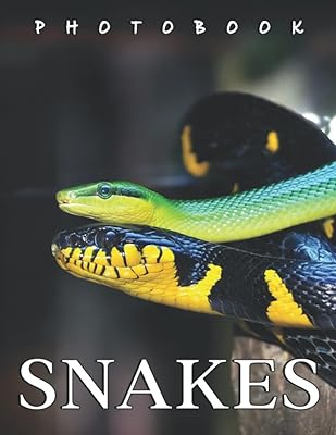 La photo de serpents : un album composé d'une collection de photos convaincantes
