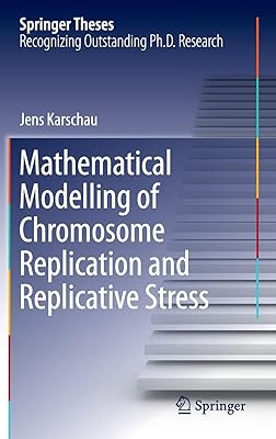 Modélisation mathématique de la réplication chromosomique et du stress réplicatif